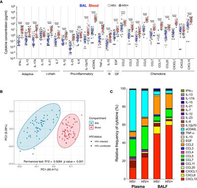 Dysregulation of the Immune Environment in the Airways During HIV Infection